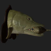 Pike eat perch detailed texture trophy taxidermy - Thumbnail 19