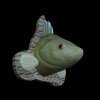 perch detailed texture trophy taxidermy - Thumbnail 3