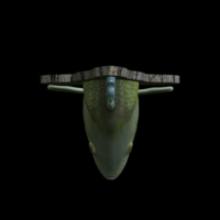 perch detailed texture trophy taxidermy - Thumbnail 5