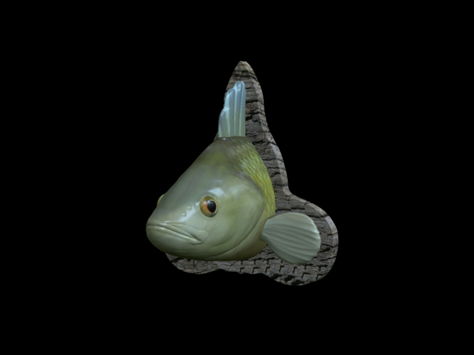 perch detailed texture trophy taxidermy 3D Print 517481