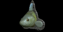 Image 517481