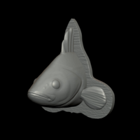 perch detailed texture trophy taxidermy - Thumbnail 8