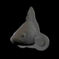 perch detailed texture trophy taxidermy - Thumbnail 11