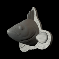 perch detailed texture trophy taxidermy - Thumbnail 13