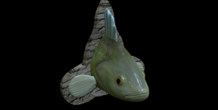 Image 517491