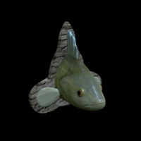 perch detailed texture trophy taxidermy - Thumbnail 17