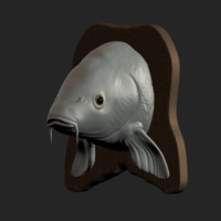 carp detailed texture trophy taxidermy - Thumbnail 2