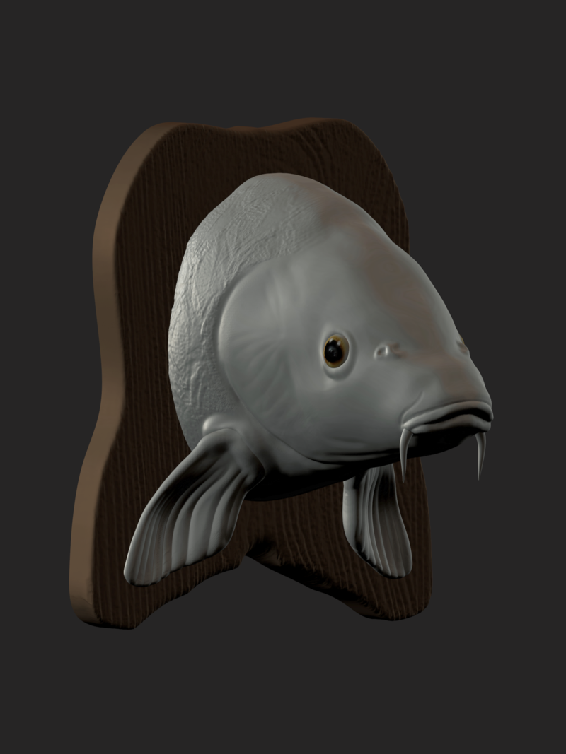 carp detailed texture trophy taxidermy