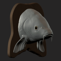 carp detailed texture trophy taxidermy - Thumbnail 6