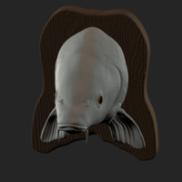 carp detailed texture trophy taxidermy - Thumbnail 7