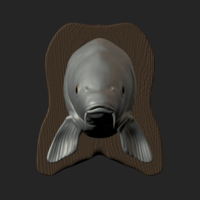 carp detailed texture trophy taxidermy - Thumbnail 8