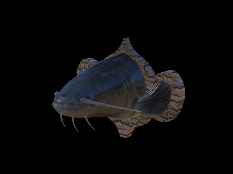 catfish detailed texture trophy taxidermy