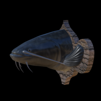 catfish detailed texture trophy taxidermy - Thumbnail 7