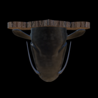 catfish detailed texture trophy taxidermy - Thumbnail 10