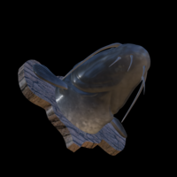 catfish detailed texture trophy taxidermy - Thumbnail 11