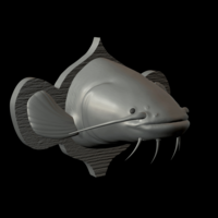 catfish detailed texture trophy taxidermy - Thumbnail 12