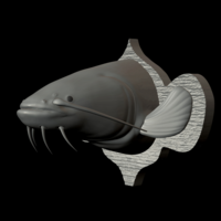 catfish detailed texture trophy taxidermy - Thumbnail 14