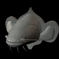 catfish detailed texture trophy taxidermy - Thumbnail 15