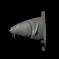 catfish detailed texture trophy taxidermy - Thumbnail 17