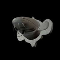 catfish detailed texture trophy taxidermy - Thumbnail 18