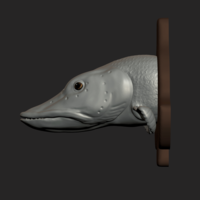 pike detailed texture trophy taxidermy  - Thumbnail 3