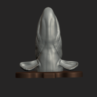 pike detailed texture trophy taxidermy  - Thumbnail 4