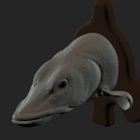 pike detailed texture trophy taxidermy  - Thumbnail 8