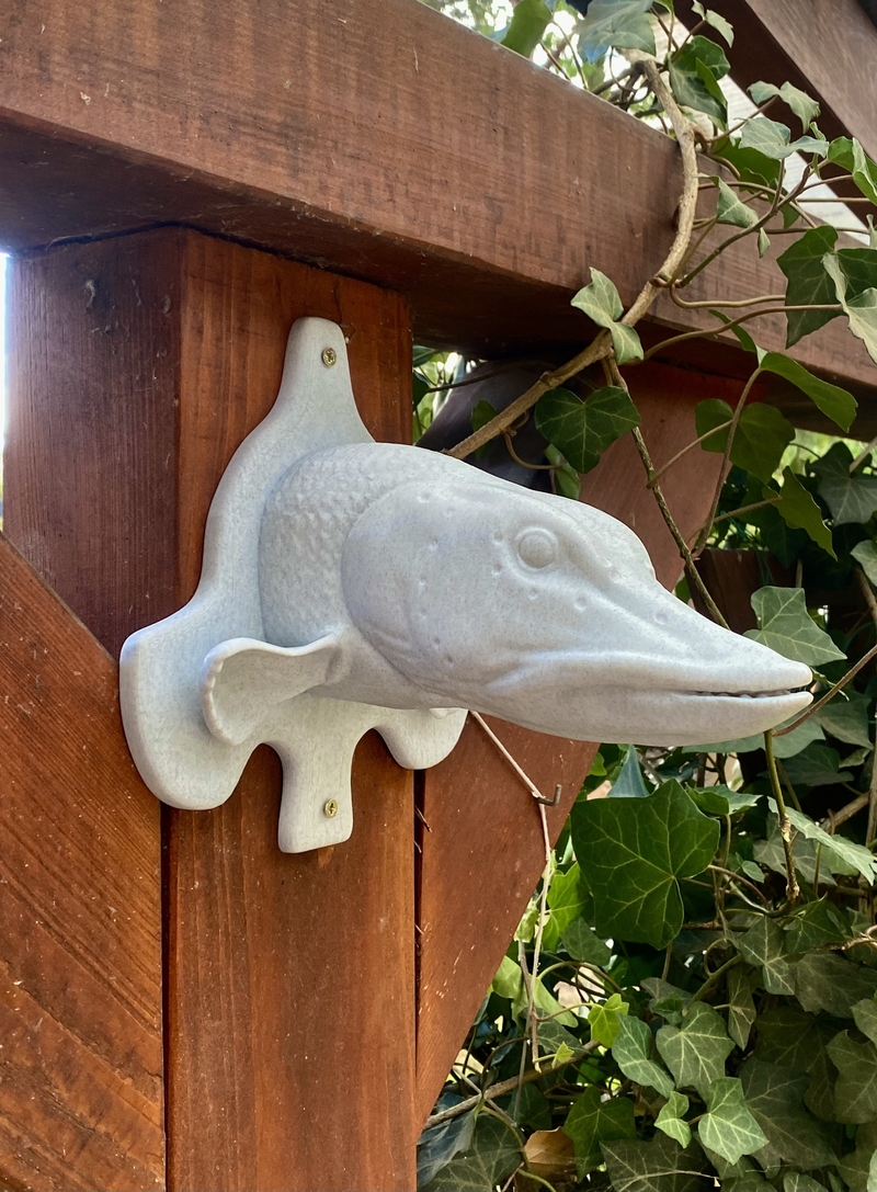 pike detailed texture trophy taxidermy 