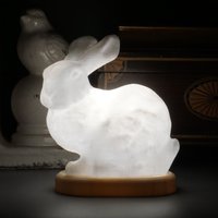 Stanford Bunny lamp - Thumbnail 2