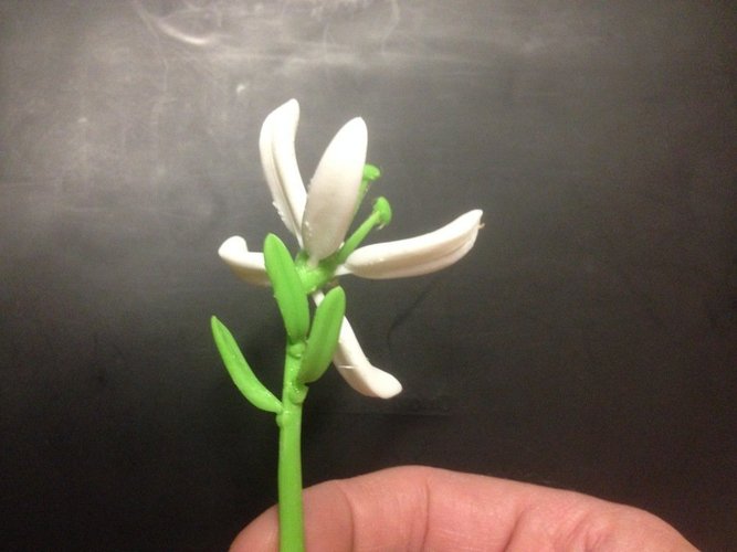 Stargazer Lily (Sort of) 3D Print 51825