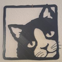 cat pictures - Thumbnail 1
