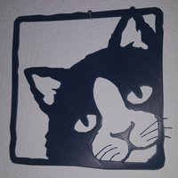 cat pictures - Thumbnail 3