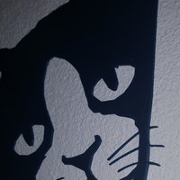 cat pictures - Thumbnail 4