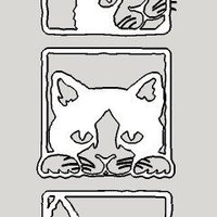 cat pictures - Thumbnail 6