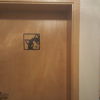 cat pictures - Thumbnail 7