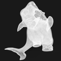 Organizer shark - Thumbnail 7