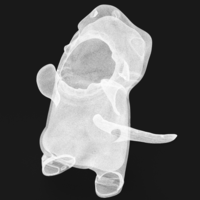 Organizer shark - Thumbnail 8