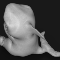 Shark eats - Thumbnail 7