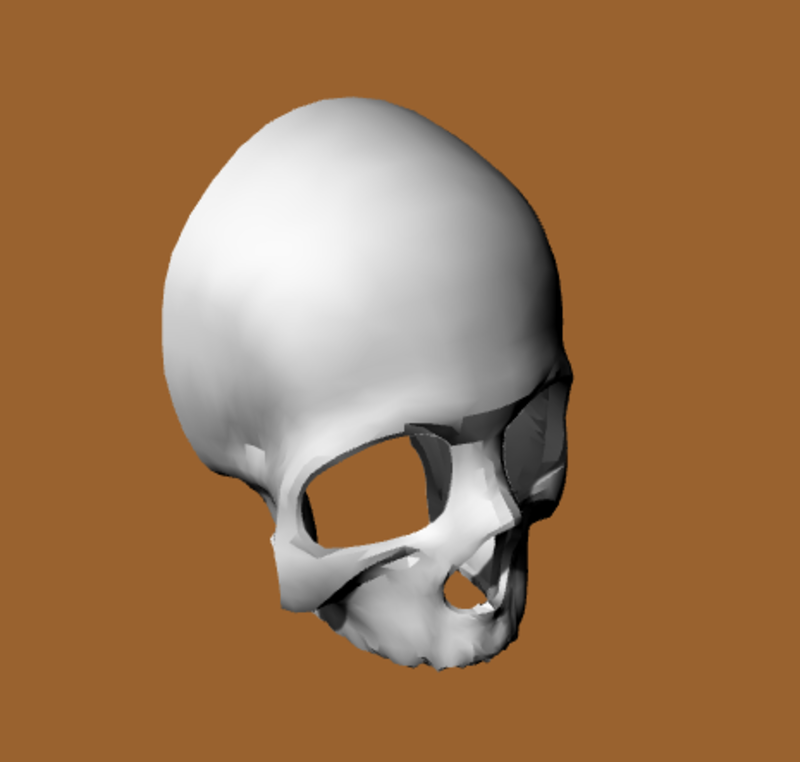 SKULL-CALAVERA FACE