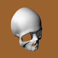 Small SKULL-CALAVERA FACE 3D Printing 522028