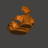 Skull Glasses and Change Holder - Thumbnail 6