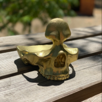 Skull Glasses and Change Holder - Thumbnail 11