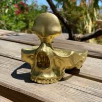 Skull Glasses and Change Holder - Thumbnail 16