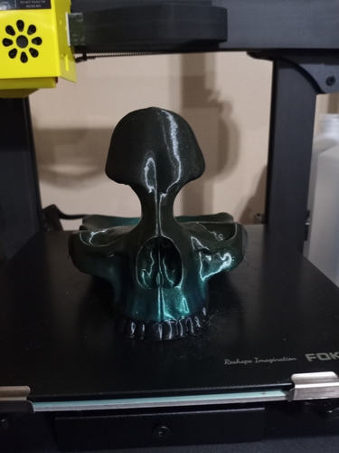 Skull Glasses and Change Holder 3D Print 522159