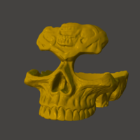 Skull Glasses Holder Celtic - Thumbnail 1