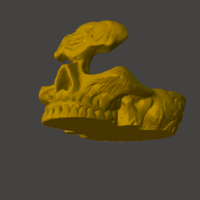 Skull Glasses Holder Celtic - Thumbnail 3