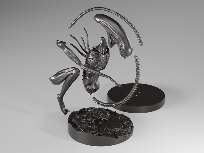 Alien (praetomorph) 3D Print 522221