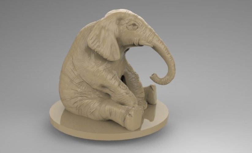 Elephant 3D Print 52341