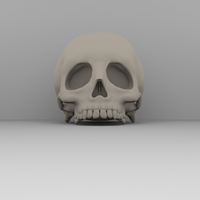 Real skull - Thumbnail 1