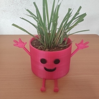 Small Flowerpot 3D Printing 525329